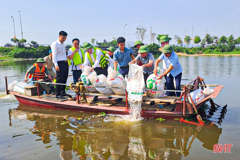 UBND TP Hà Tĩnh phối hợp với Chi cục Thủy sản Hà Tĩnh thả hơn 1,8 tấn cá giống tái tạo nguồn lợi thủy sản.