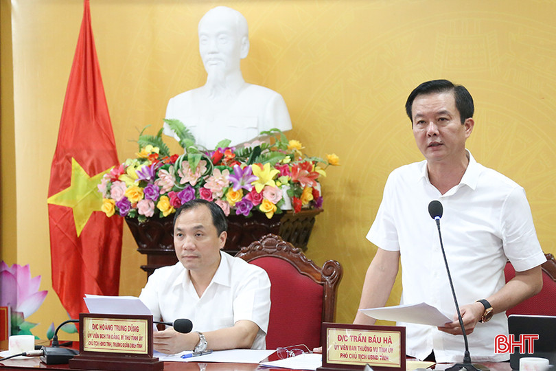 Phó Chủ tịch UBND tỉnh Hà Tĩnh Trần Báu Hà tham gia thảo luận tại hội nghị. IMG_7771.jpg