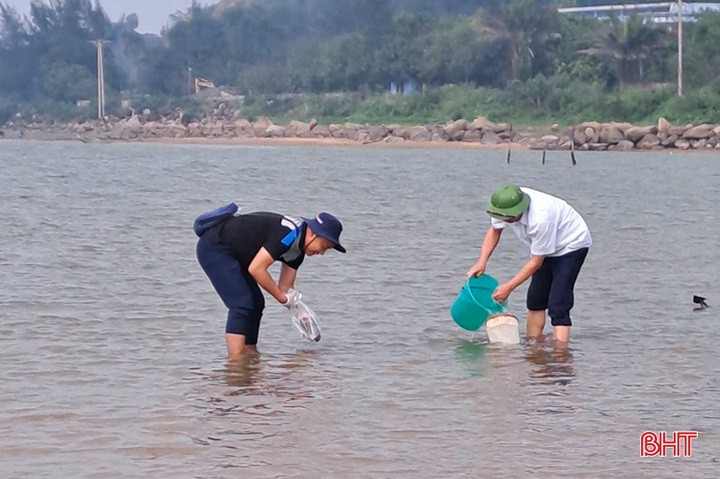 Ngành chuyên môn lấy mẫu nước để phân tích nguyên nhân dẫn đến hiện tượng ngao chết hàng loạt vào đầu tháng 4/2023 tại huyện Thạch Hà. z4143684502618_8c886f17c9fc135b88b0aca05c53077b.jpg