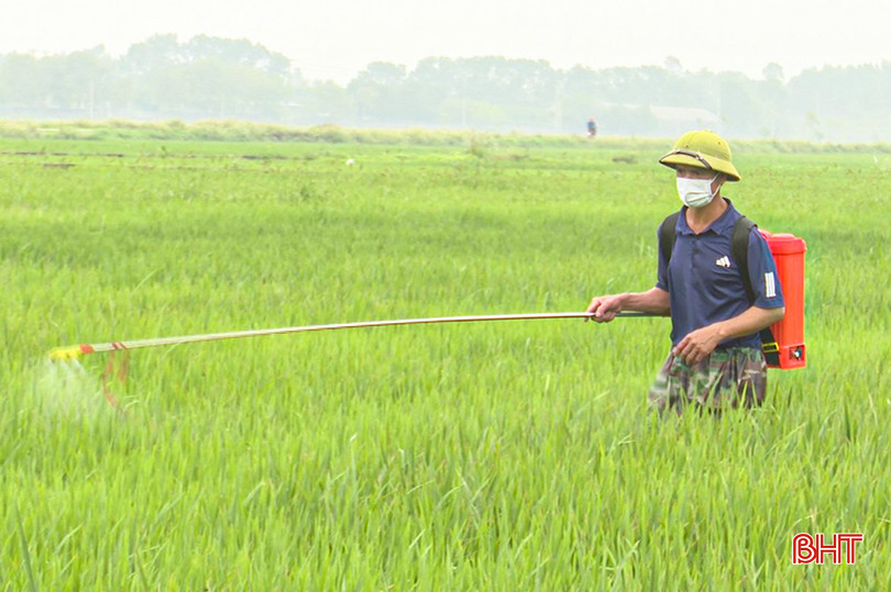 Bà con nông dân cần thường xuyên theo dõi đồng ruộng, tiến hành phun phòng trừ dịch bệnh theo hướng dẫn của ngành chuyên môn. z4261362418053_b7fd4d677960316c03c17ce40e1343ce.jpg