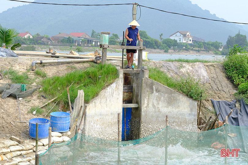 Hạ tầng vùng nuôi không đảm bảo, người dân thường lấy nước trực tiếp từ bên ngoài đê vào hồ, không xử lý qua ao lắng. Ảnh 2.jpg