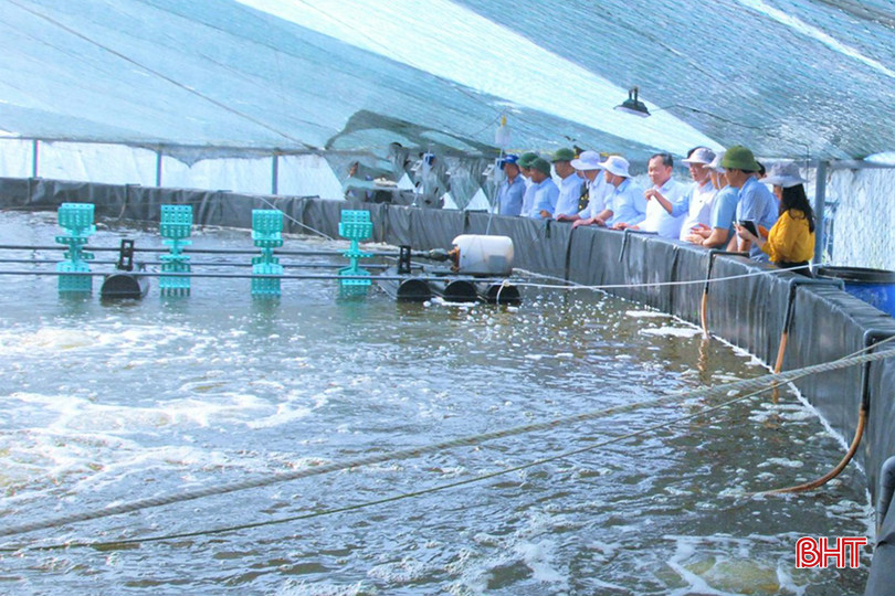 Các doanh nghiệp "mạnh tay" đầu tư hạ tầng để NTTS công nghệ cao tại xã Mai Phụ và Hộ Độ (huyện Lộc Hà). z5326627490540_0ba2cdcf44670d5d09c69b1b8632cec2.jpg