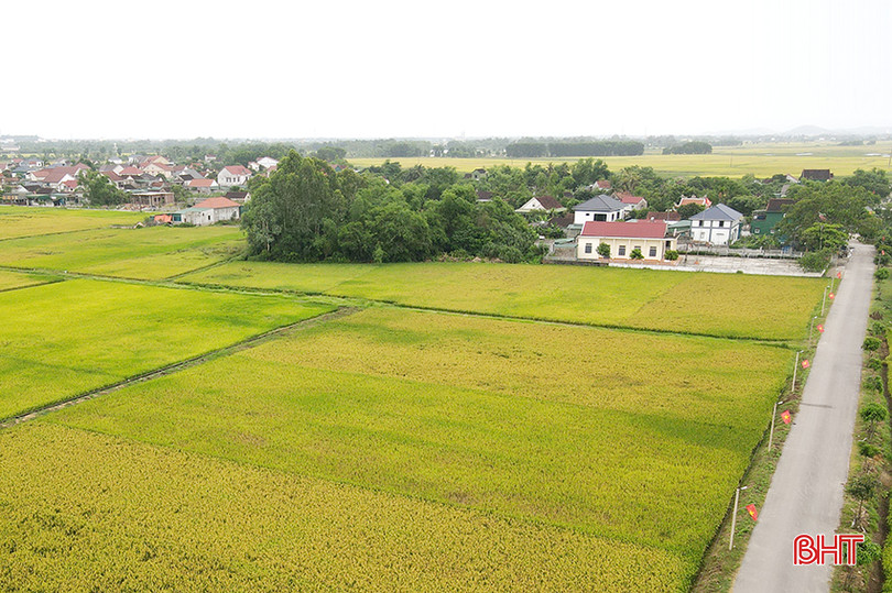 Cơ sở của ông Chính còn thu mua sấy lúa cho bà con vùng Thạch Hà, Đức Thọ. Vuong Loc 3 copy.jpg