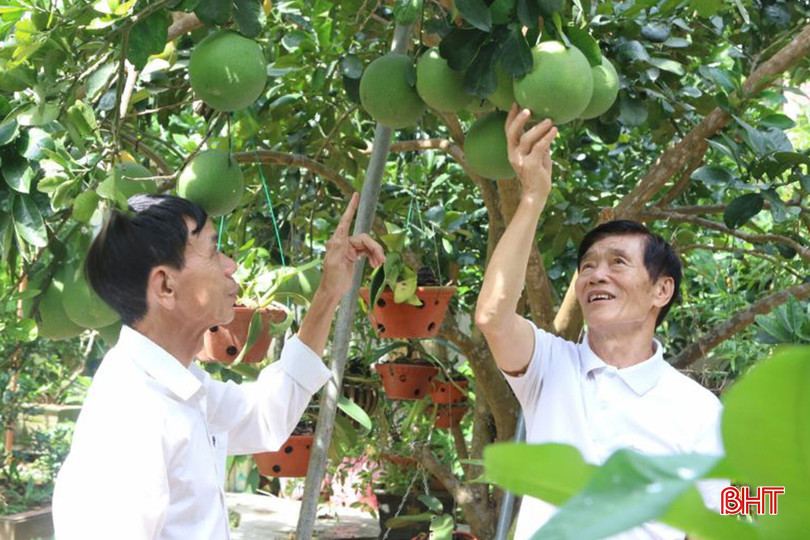 Những khu vườn mẫu xanh, trĩu quả không ngừng được nhân rộng ở Sơn Giang. IMG_2224.jpg