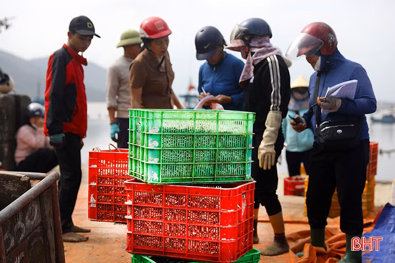 146d4184820t40162l0 copy.jpg