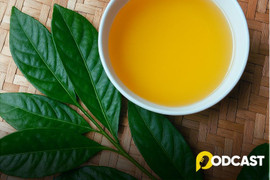 Podcast: Hồn quê sóng sánh tiếng mời chè xanh