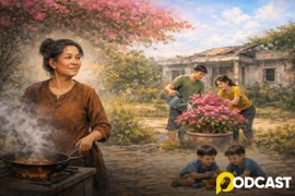 Podcast truyện ngắn: Những chậu hoa giấy