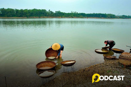 Podcast tản văn: Ký ức sông La