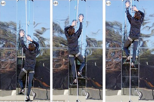 Găng tay người nhện ra đời ảnh 1