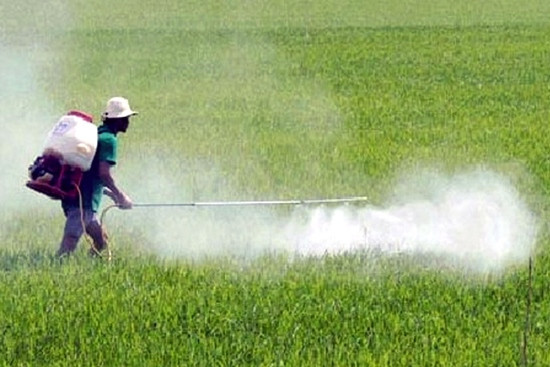 Khắc phục ô nhiễm môi trường trong sản xuất nông nghiệp ảnh 1