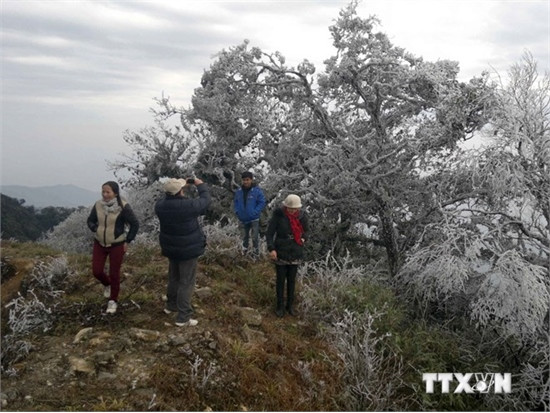 Rét đậm, rét hại có khả năng sẽ xảy ra vào nửa đầu tháng 12 ảnh 1