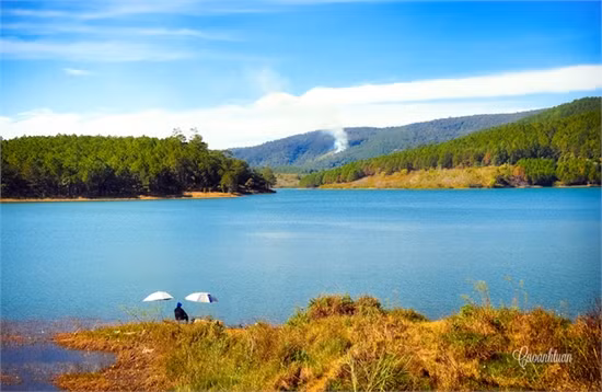 Tại sao bạn nên đến Đà Lạt một lần trong đời? ảnh 4