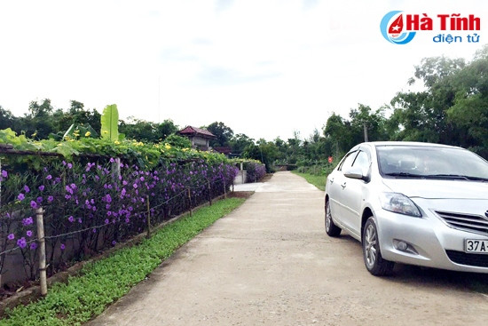 Năm 2015, Hội đã hỗ trợ xây dựng thành công 220 vườn mẫu tại 44 xã. (Trong ảnh: Khu dân kiểu mẫu ở thôn Tân An, Cẩm Bình, Cẩm Xuyên)