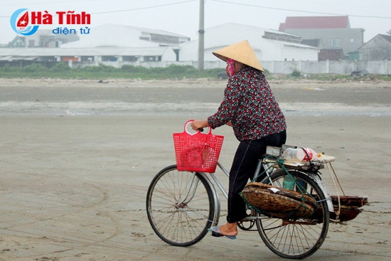 Chị Lan may mắn mua được khay cá cơm loại to Sau khi thu mua, số ít được đem đi bán lẻ tại các chợ trong tỉnh, còn lại đưa về qua sơ chế để làm hàng xuất khẩu…