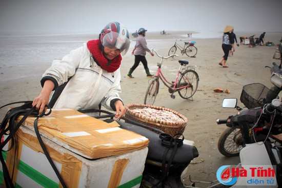 Chị Lan may mắn mua được khay cá cơm loại to Sau khi thu mua, số ít được đem đi bán lẻ tại các chợ trong tỉnh, còn lại đưa về qua sơ chế để làm hàng xuất khẩu…