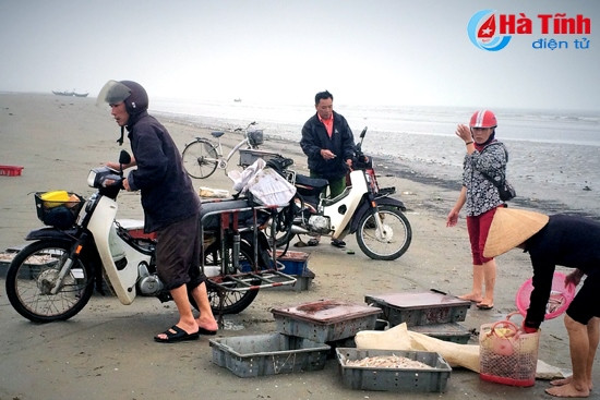 Chị Lan may mắn mua được khay cá cơm loại to Sau khi thu mua, số ít được đem đi bán lẻ tại các chợ trong tỉnh, còn lại đưa về qua sơ chế để làm hàng xuất khẩu…