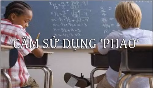 Những biển cấm 'có cũng như không' ảnh 9