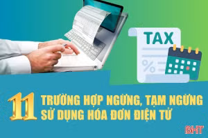 [Motion graphic] 11 trường hợp ngừng, tạm ngừng sử dụng hóa đơn điện tử 
