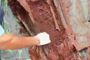 Phát hiện 18 hài cốt liệt sĩ chôn cất trong tăng võng