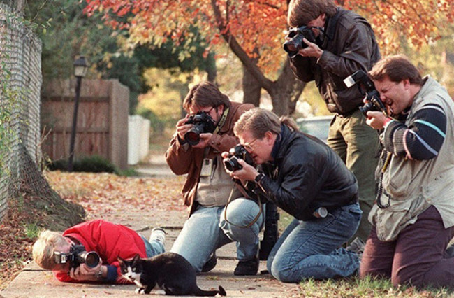 Phía sau những bức ảnh lung linh là sự “hy sinh” của các nhiếp ảnh gia