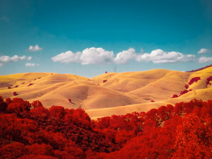 Cảnh sắc khác lạ trong ảnh chụp hồng ngoại