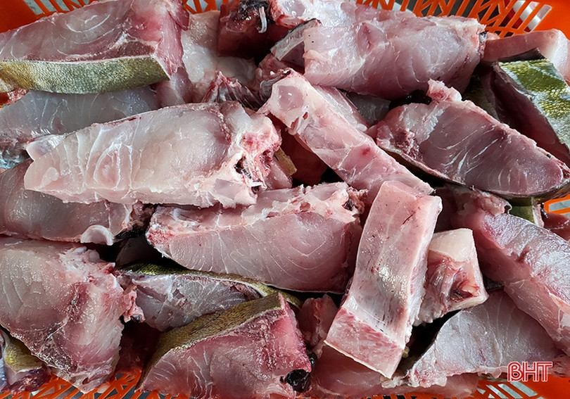 Ngư dân Hà Tĩnh thu 600 triệu đồng sau một đêm buông lưới