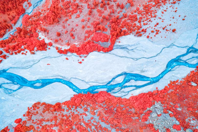 Cảnh sắc khác lạ trong ảnh chụp hồng ngoại