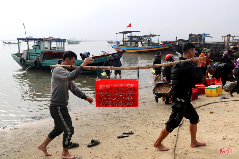 Ngư dân làng biển phía Nam Hà Tĩnh trúng đậm mùa cá cơm ảnh 5 Ngư dân làng biển phía Nam Hà Tĩnh trúng đậm mùa cá cơm