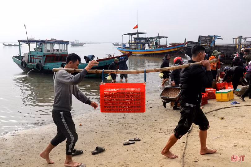 Ngư dân làng biển phía Nam Hà Tĩnh trúng đậm mùa cá cơm