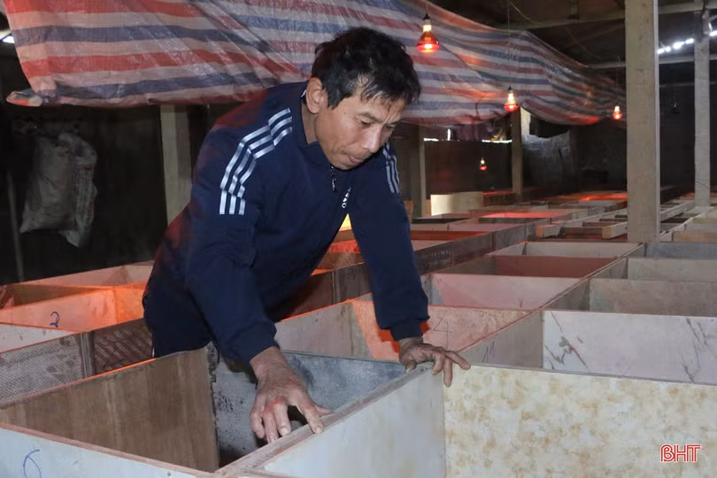 Nuôi dúi, vợ chồng miền sơn cước Hà Tĩnh thu hàng trăm triệu đồng 