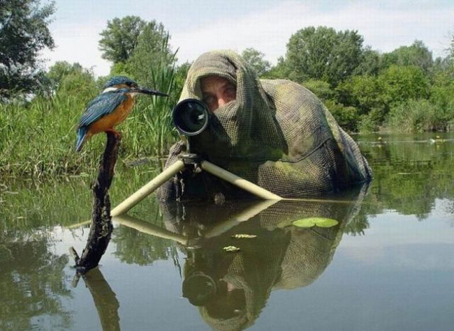 Phía sau những bức ảnh lung linh là sự “hy sinh” của các nhiếp ảnh gia