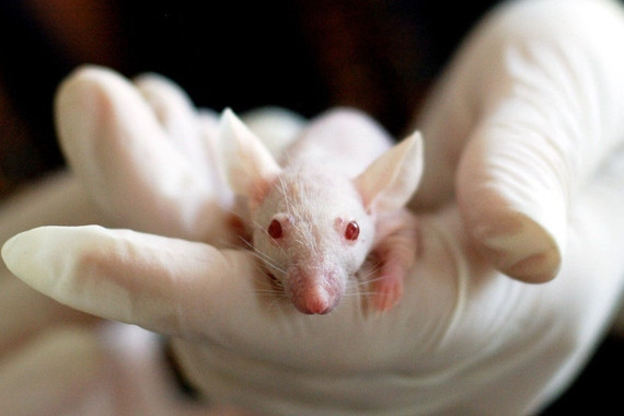 Các nhà khoa học Trung Quốc tuyên bố nắm giữ “chìa khóa” kéo dài tuổi thọ