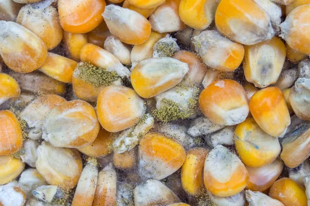 Điểm mặt 6 “kẻ thù” hàng đầu của lá gan