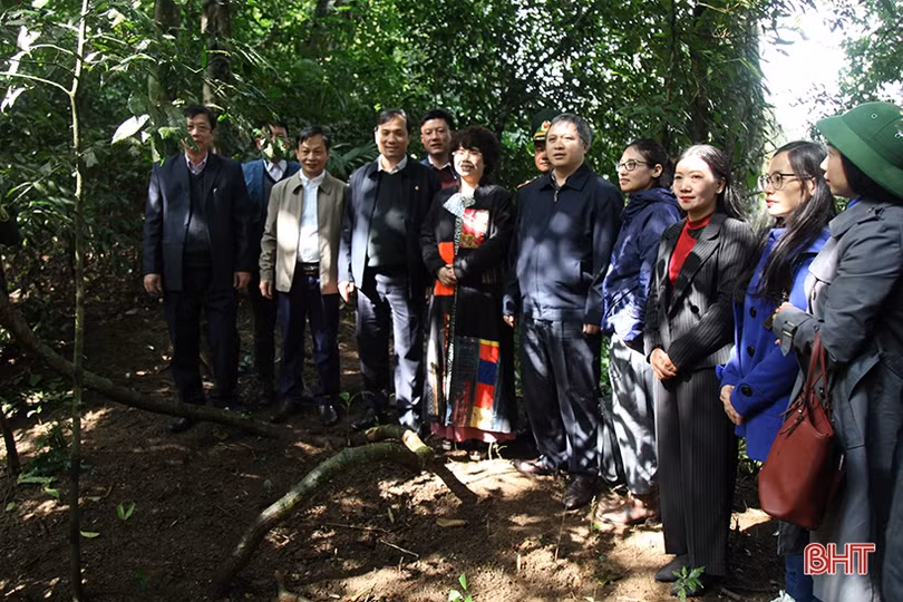 Chủ tịch Tập đoàn TH: Cơ hội đầu tư các dự án ở Hà Tĩnh là rất khả thi