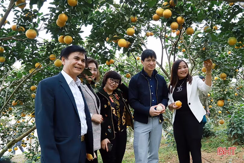 Vũ Quang là huyện miền núi biên giới đầu tiên cả nước hoàn thành các tiêu chí nông thôn mới