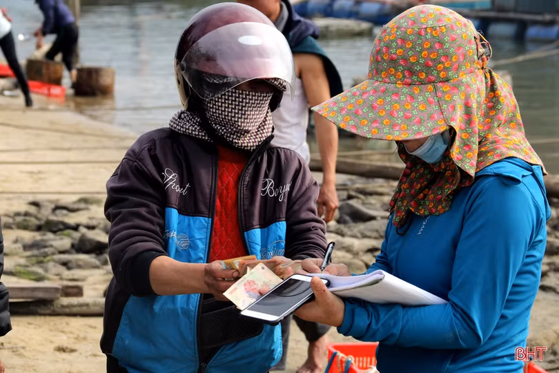 Ngư dân làng biển phía Nam Hà Tĩnh trúng đậm mùa cá cơm