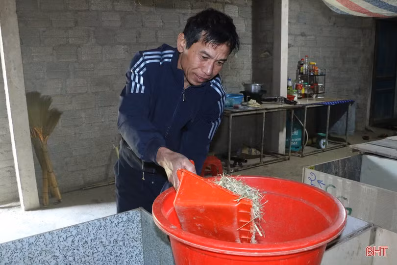 Nuôi dúi, vợ chồng miền sơn cước Hà Tĩnh thu hàng trăm triệu đồng 