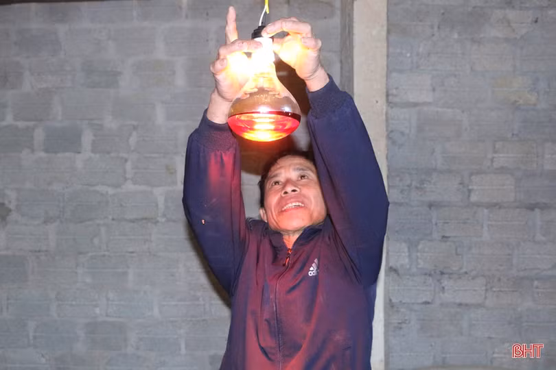 Nuôi dúi, vợ chồng miền sơn cước Hà Tĩnh thu hàng trăm triệu đồng 