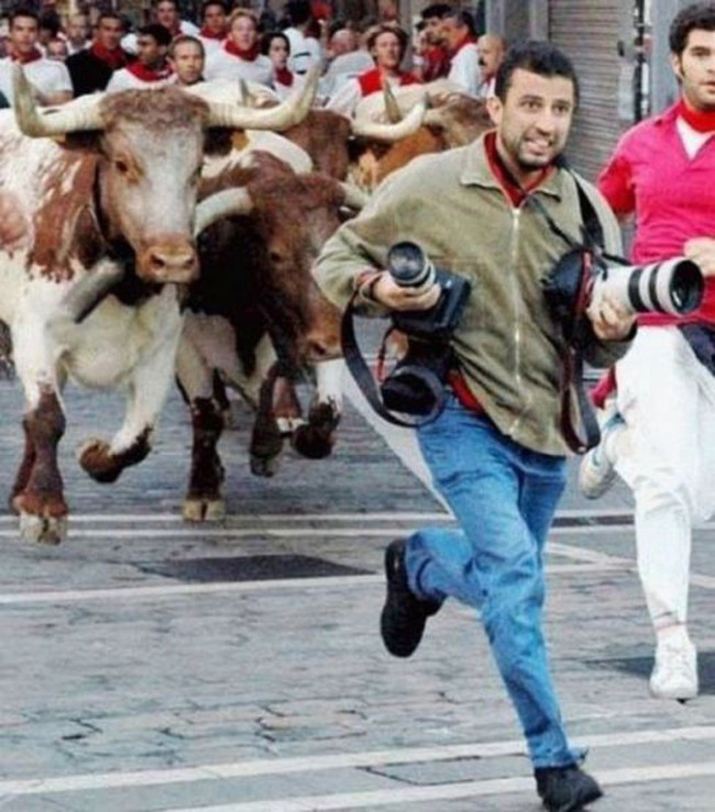 Phía sau những bức ảnh lung linh là sự “hy sinh” của các nhiếp ảnh gia