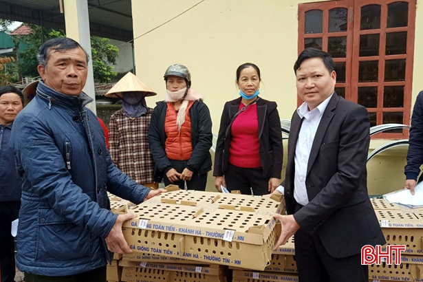 Phân bổ nguồn hàng hỗ trợ lũ lụt cho các địa phương, hộ nghèo Hương Sơn