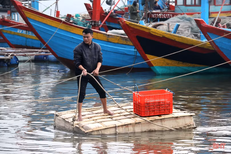 Ngư dân làng biển phía Nam Hà Tĩnh trúng đậm mùa cá cơm