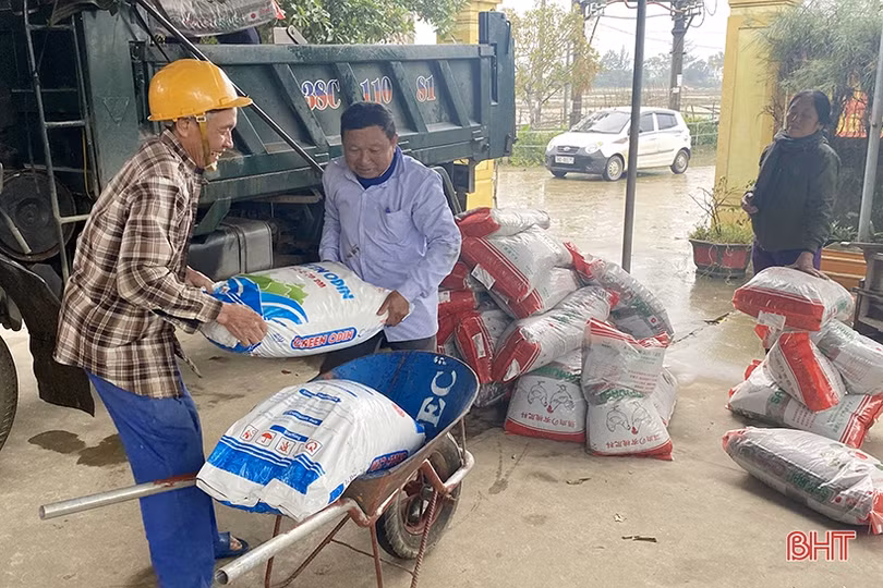 Hà Tĩnh phủ kín diện tích hơn 10 ngàn ha cây trồng vụ đông