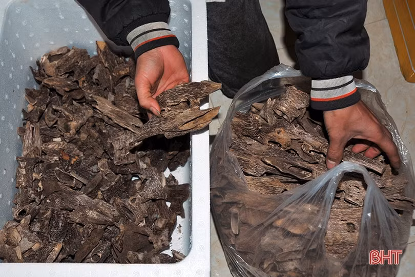 Làng trầm hương nổi tiếng Hà Tĩnh có những sản phẩm đặc biệt nào?