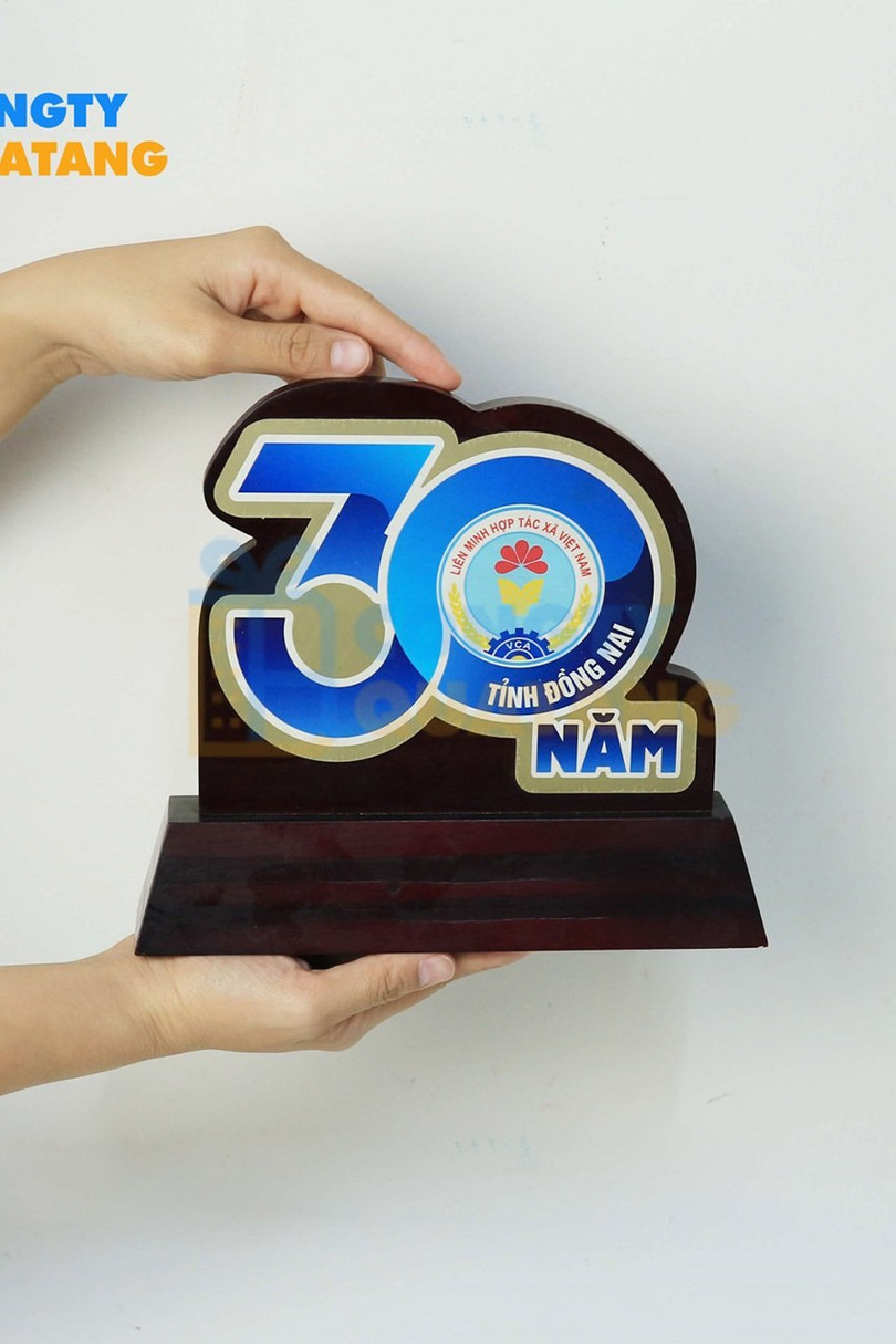 Sản xuất kỷ niệm chương gỗ đồng dạng số năm ky-niem-chuong-5.jpg