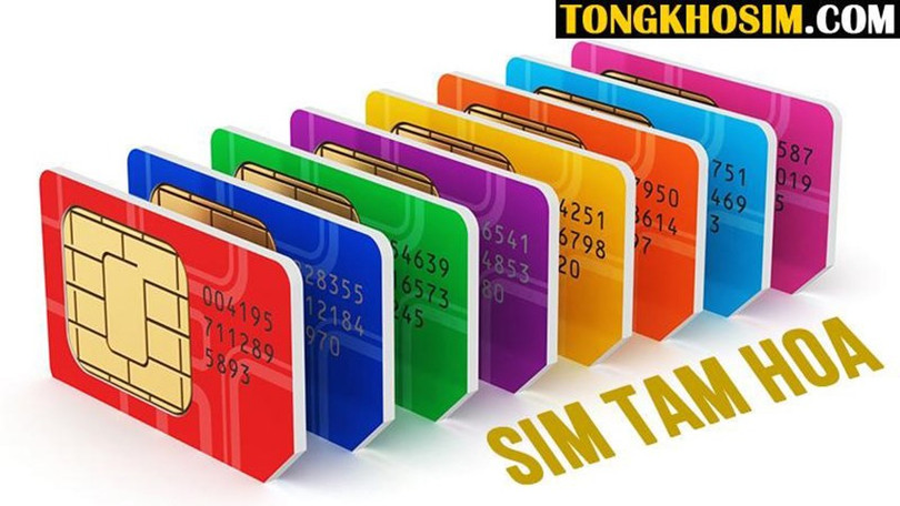 Sim tam hoa là sim được yêu thích và sử dụng rộng rãi sim-tam-hoa1.jpg