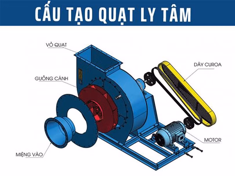 quat-ly-tam-4.jpg