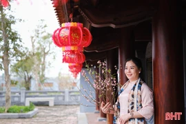 Người dân tìm về Văn Miếu Hà Tĩnh lưu dấu khoảnh khắc đầu năm