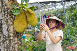 Tích cực xây dựng nội dung, tăng thu nhập từ Facebook