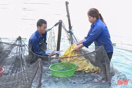 Nông dân Can Lộc làm giàu từ nuôi trồng thủy sản nước ngọt