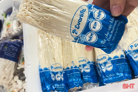 Nấm "ngoại" giá rẻ tràn lan chợ dân sinh, người trồng nấm Hà Tĩnh lao đao